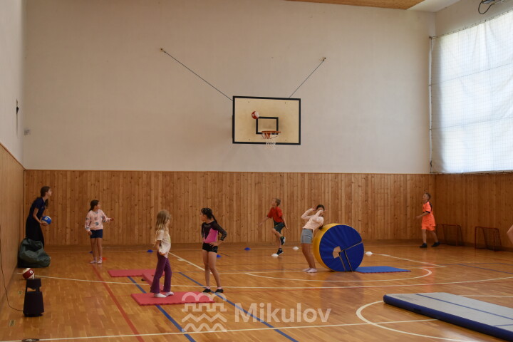 Den sportu 2026