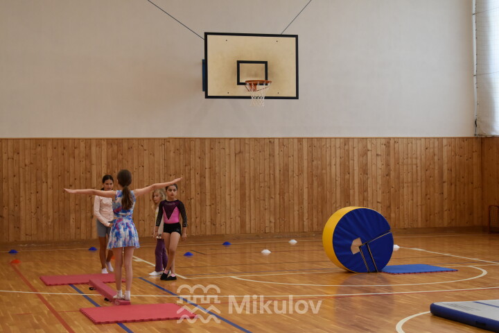 Den sportu 2026