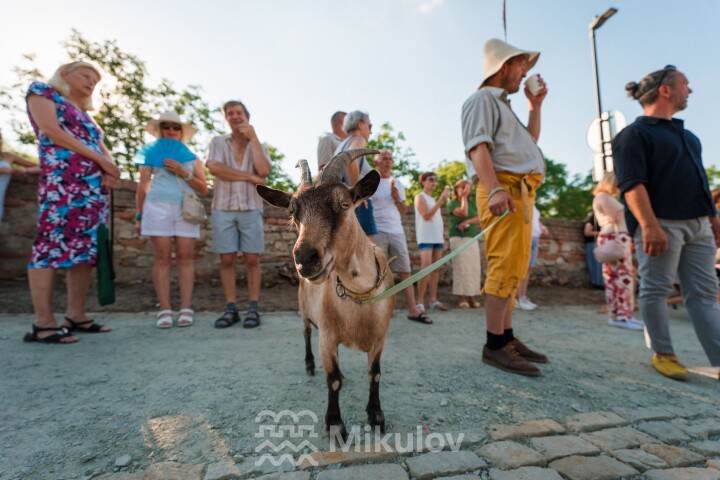 Slavnostní otevření návrší Kozího hrádku 2026