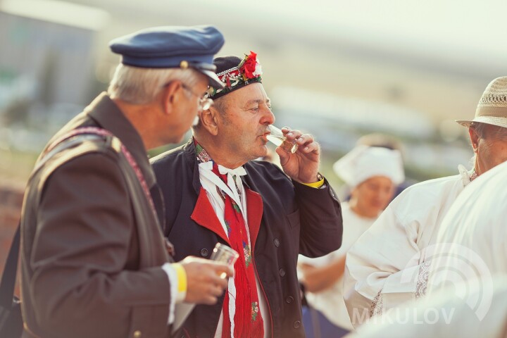 Pálavské vinobraní 2017