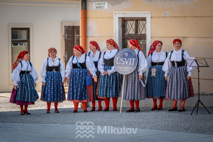 Festival Sousedé - Zarážení hory 2026