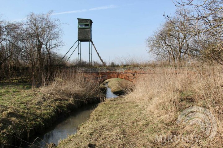 The “Portz Insel” Project