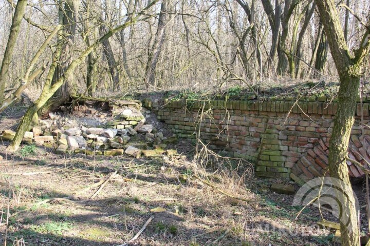 The “Portz Insel” Project