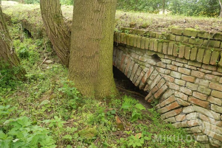 The “Portz Insel” Project