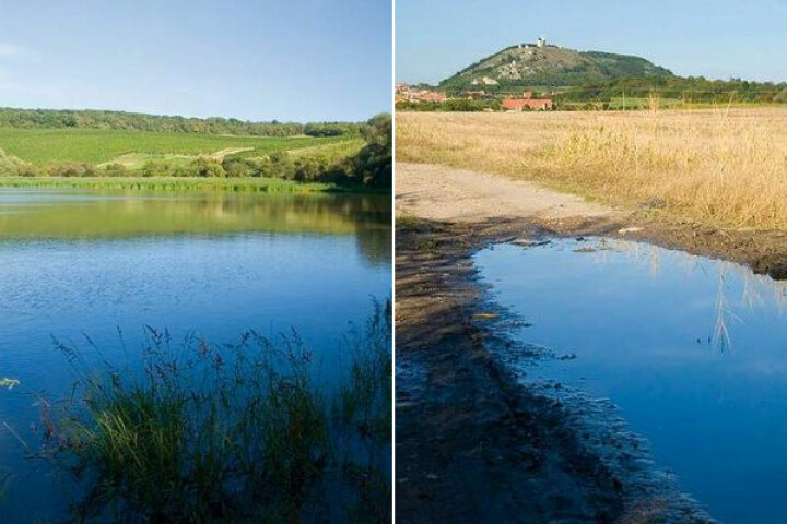 Górny Muszlowski staw (Horní Mušlovský rybník) i Widok na Świętą Górkę w Mikulowie (Svatý  kopeček).