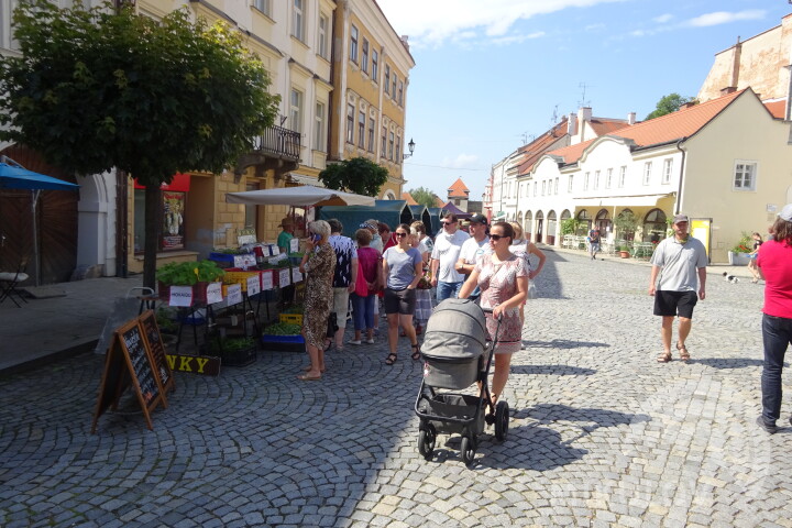 Mikulovská rozvojová, 15. 6. 2020