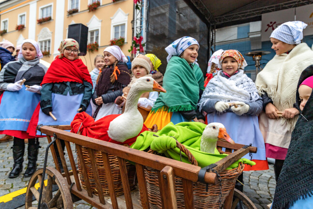 Svatomartinský Mikulov
