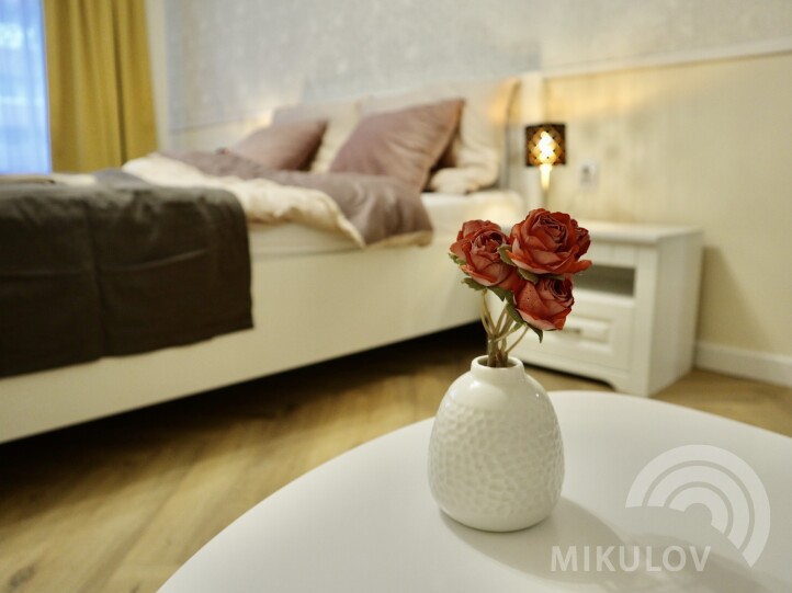 Dream Apt Mikulov