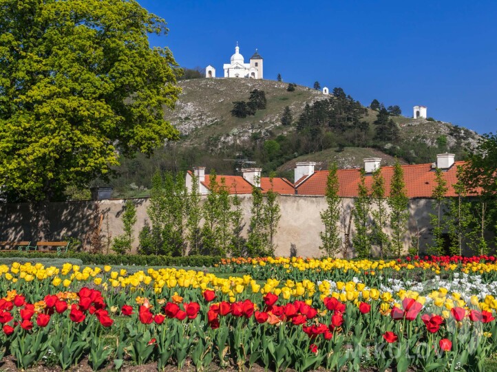 Svatý kopeček (Holy Hill)