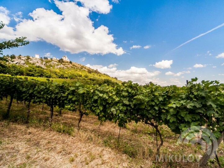 Hotel Golf Garni