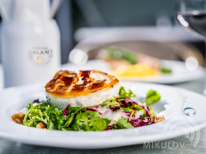 Pivovarská restaurace Galant