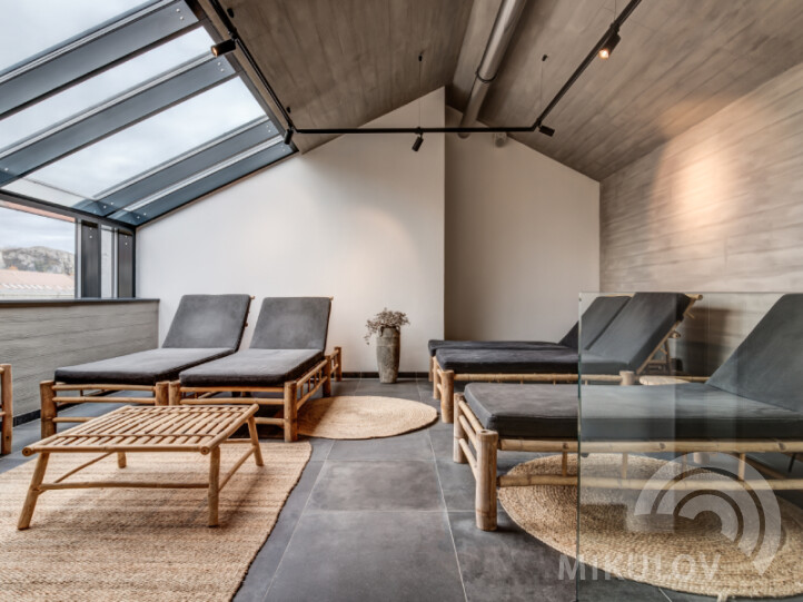 Wellness & Wine Hotel Volarik