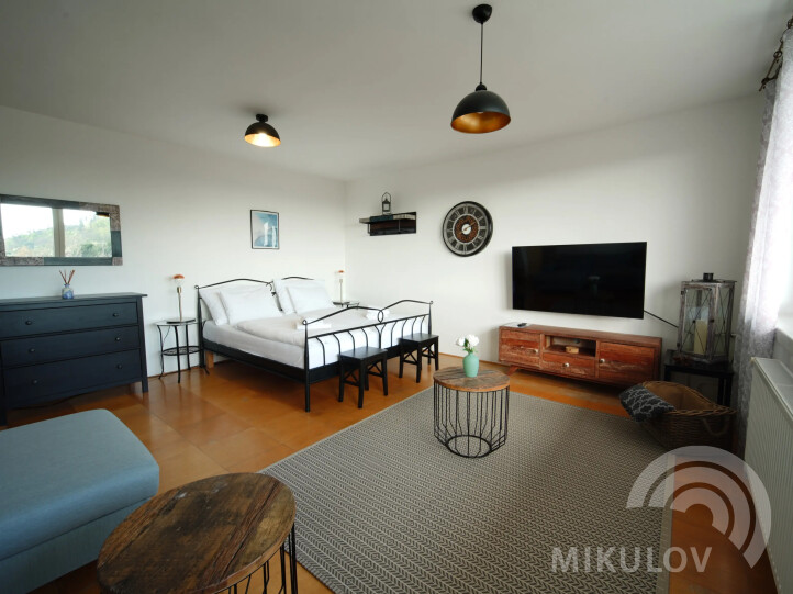 Pálava House Mikulov - apartments