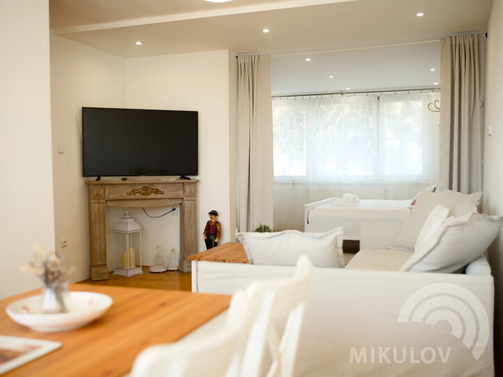 Pálava House Mikulov - apartments
