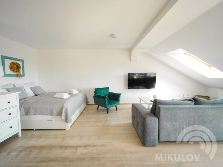 Pálava House Mikulov - apartments