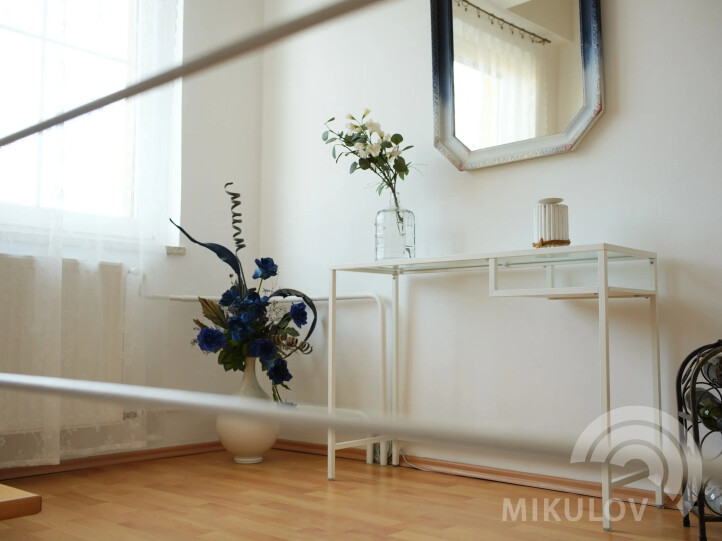 Pálava House Mikulov - apartments