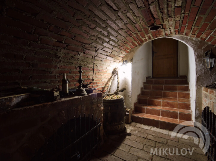 Pálava House Mikulov - apartments