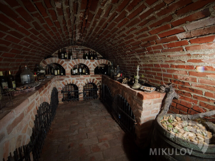 Pálava House Mikulov - apartments