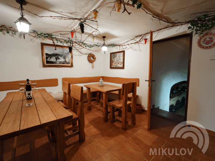 Pálava House Mikulov - apartments