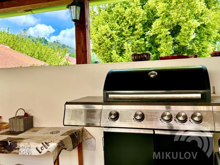 Apartmán  NA DOBYTČÍM TRHU