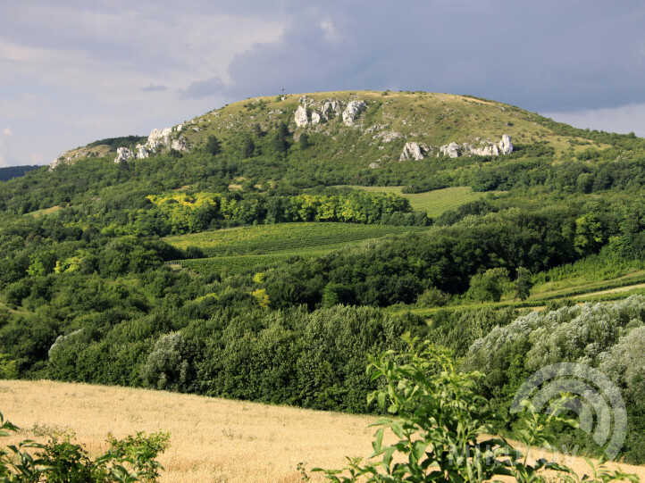 Pálava Nature Reserve