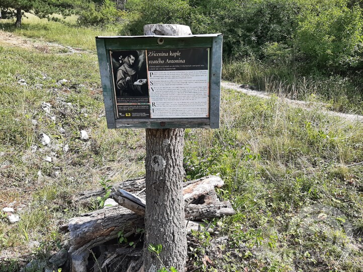 Pálava Nature Reserve