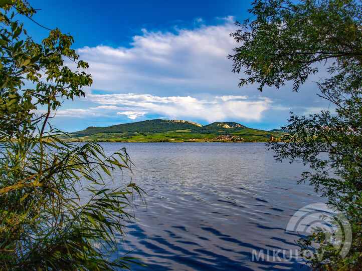 Pálava Nature Reserve