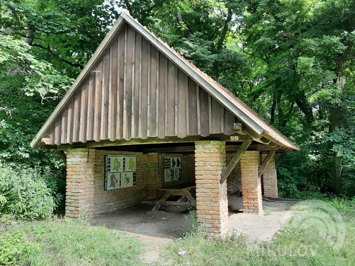 Pálava Nature Reserve