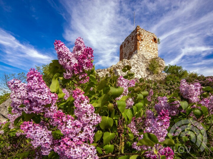 Kozí hrádek (Goat Tower)