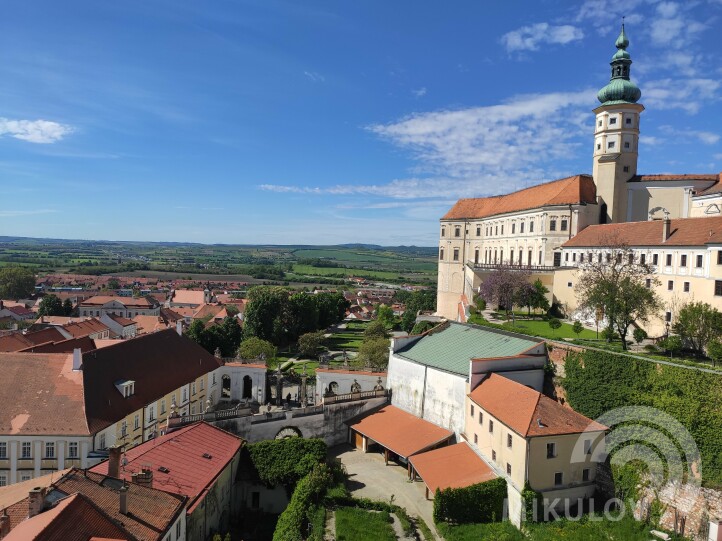 Wieża kościoła Mikulov