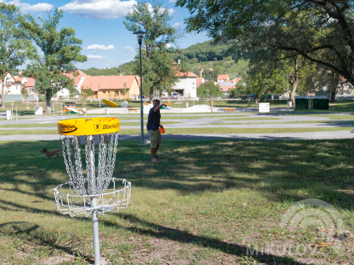 disc golf