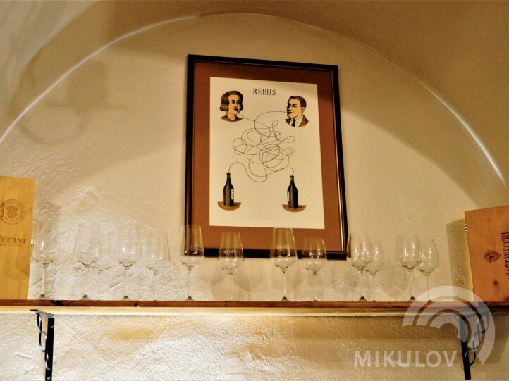 Po celém sklepě i v apartmánech se budete potkávat s obrazy od Jiřího Slívy