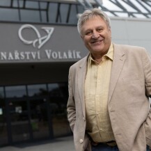 Vinařství Volařík Mikulov