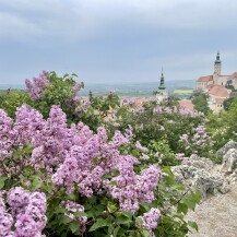 Dream Apt Mikulov