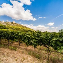 Hotel Golf Garni