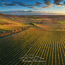 Photos of Pálava & Mikulov