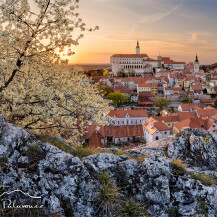 Photos of Pálava & Mikulov