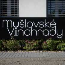 Mušlovské vinohrady