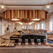 Wellness & Wine Hotel Volarik