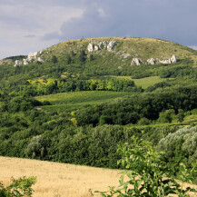 Landschaftsschutzgebiet Pálava