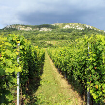 Pálava Nature Reserve