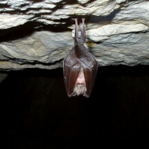 Jaskinia na Turoldzie