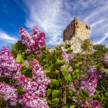 Kozí hrádek (Goat Tower)