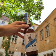 Pivo Zajko