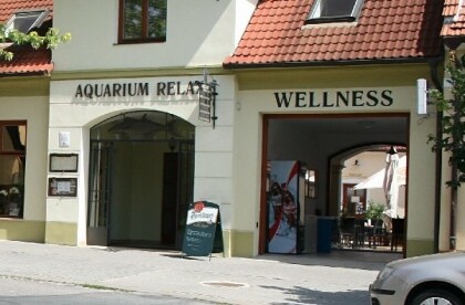 Aquarium wellness